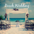 Cute Theme-Beach Wedding-