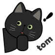 程序图标：TomVPN- free high speed o…