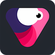 Programikonen: Veloming - Velocity Edit …