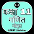 Programikonen: Class 11 Maths Notes in H…
