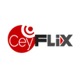 Programikonen: CeyFLiX