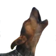 Programikonen: Barking Dog Sounds