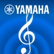 Иконка программы: NETWORK PLAYER CONTROLLER