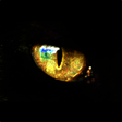 程序图标：New Catcheye Plus