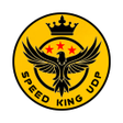 程序图标：Speed King Udp - Fast Saf…
