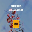Programikonen: Cherries Wallpaper HD New…