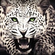 Icoon van programma: Animal Wallpapers  Backgr…