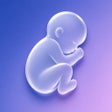 프로그램 아이콘: Contraction Timer  Counte…