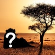 Иконка программы: Trivia of Animals