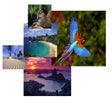Ícone do programa: Brazil Themepack