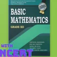 Basic Math Class 12 Solution