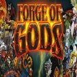 Icoon van programma: Forge of Gods (RPG)