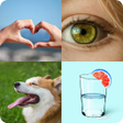 程序图标：4 Fotos 1 Palabra 2024