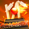 Icon of program: Indian Cricket League 201…