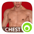程序图标:Chest Workout Lumowell