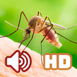 Ikon program: Suara Nyamuk HD