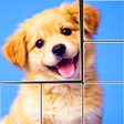Icoon van programma: JigMaster: Photo Match