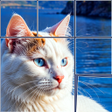 Symbol des Programms: JigMaster: Photo Match