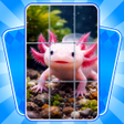 Icon of program: JigMaster: Photo Match