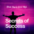 Programın simgesi: The Secrets of Success Of…