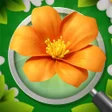 Programikonen: Blossom Triple: Find flow…