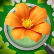 Programikonen: Blossom Triple: Find flow…