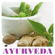 プログラムのアイコン:Ayurveda eBook