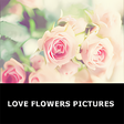 Programikonen: Romantic Love flowers
