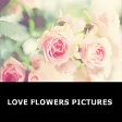 Romantic Love flowers