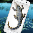 Programikonen: Crocodile in Phone Big Jo…