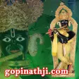 Gopinathji Mandir - Gadhpur