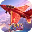 프로그램 아이콘: BNSkybolt