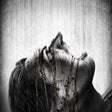 أيقونة البرنامج: The Evil Within