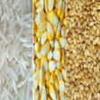 Programikonen: Poultry Feed App - Low Co…