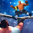 程序图标：World Tag Team Stars Wres…