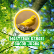 Programikonen: Masteran Kenari Gacor Jua…