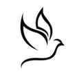 Ikon program: Luther - AI Study Bible