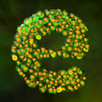 プログラムのアイコン：EverlutionSpore  Bacteria…