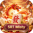 Programikonen: 5RT Misty
