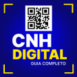 Ikon program: CNH Digital - Detran SP 2…