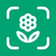 أيقونة البرنامج: Planto