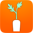 Programın simgesi: CARROT Wellness