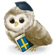 Ícone do programa: MTL Learn Swedish