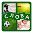 Иконка программы: 4 фотки 1 слово. Угадай с…
