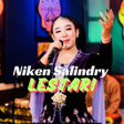 Programikonen: Selendang Biru Niken Sali…