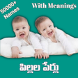 Icon of program: Telugu Baby Names-50k