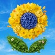 Иконка программы: Лента