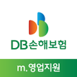 程序图标：DB 손해보험 영업지원 시스템