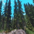 Icon of program: Skyrim Flora Overhaul