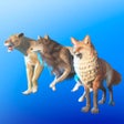 Ikona programu: Merge  Hunt